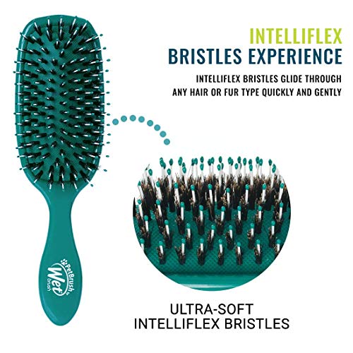 Pet Hair Brush (Teal / One Size)
