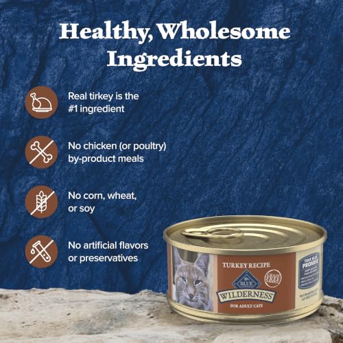 Wilderness Turkey Paté Adult Wet Cat Food (24)