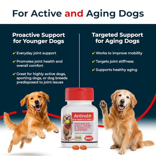 Plus Mobility Hip & Joint Supplement for Dogs (180 Count)