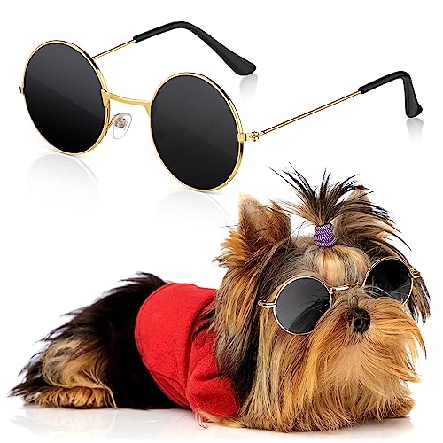 Dog Sunglasses Round Metal Pet Eyewear (Gold, Black / Modern Style)