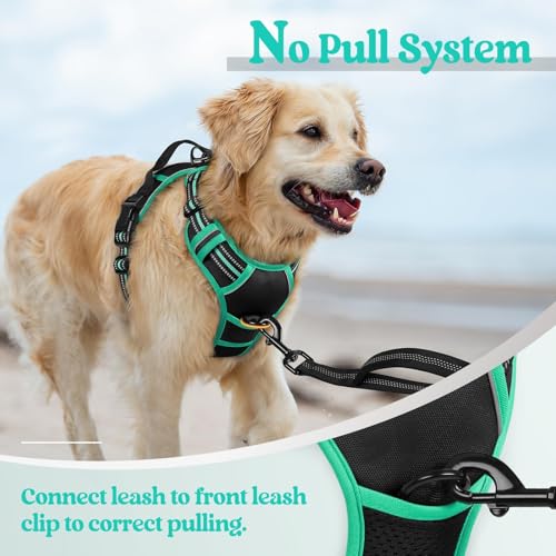 Dog Harness No Pull for Large Dogs with 2 Leash Clips (Large / Black & Turquoise)