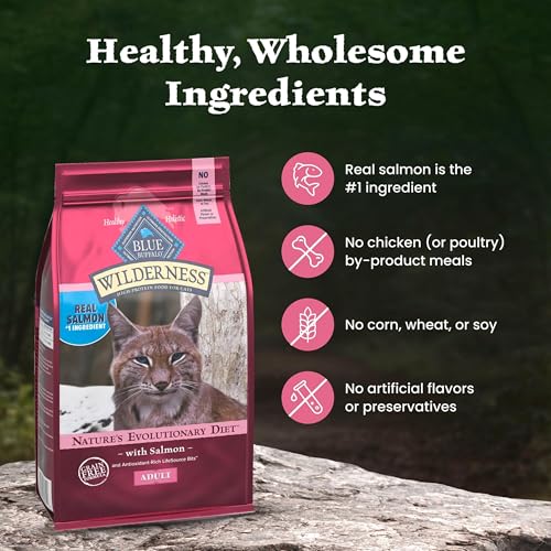 Wilderness Salmon Adult Dry Cat Food (15 Pound (Pack of 1))