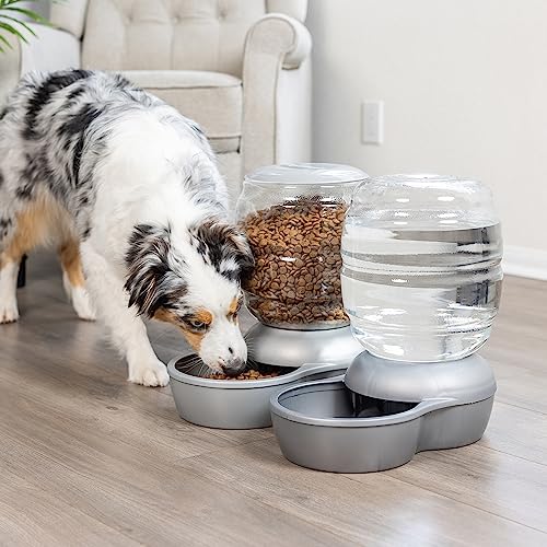Replendish Pearl White 10 lb Dog Cat Feeder (Pearl Silver Grey / 10 LB)