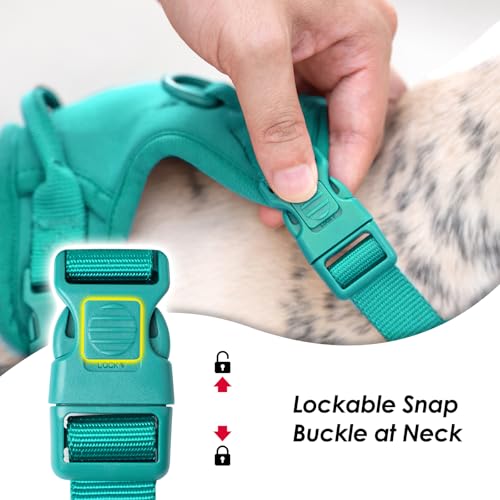 No Pull Dog Harness for Small Sized Dogs (MARRS Green / S(Neck:15.7-22.0", Chest:17.3-24.8"))