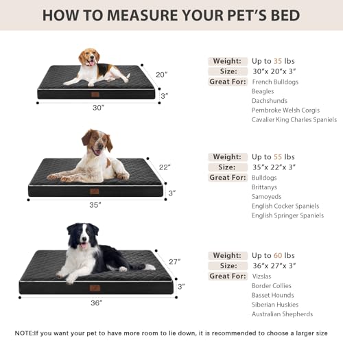 Orthopedic Waterproof Dog Bed Medium for Comfy Sleeping (black / 30"L x 20"W x 3"Th)