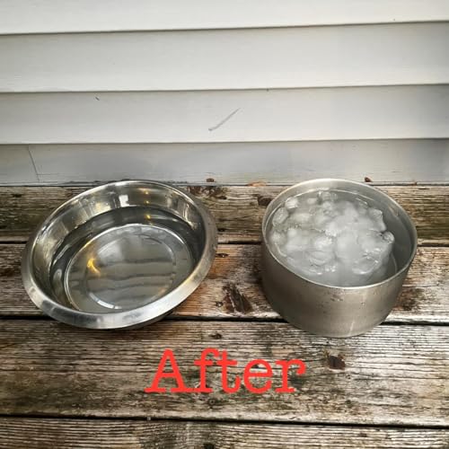 1Gallon Double Layer 304 Stainless Steel Dog Bowl (3.8L)