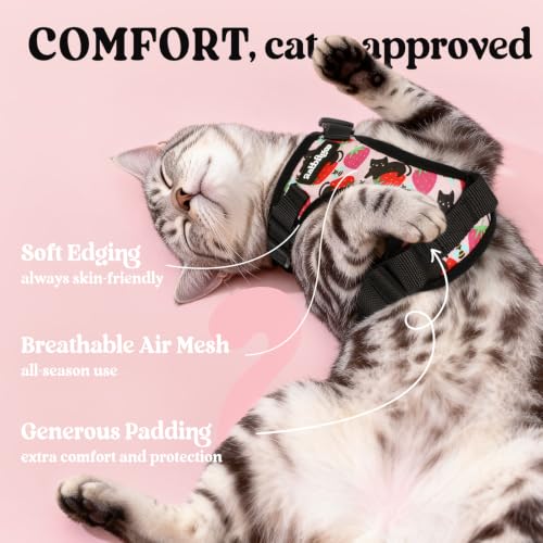Cat Harness and Leash Set (M / Berry Pounce)