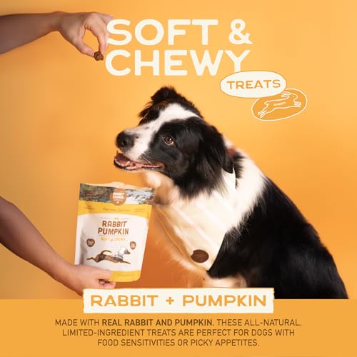Healthy Soft Dog Treats (5 Ounce (Pack of 3))