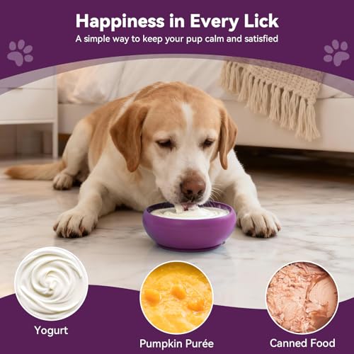 Dog Lick Bowl (Large / Purple)