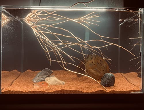 11lb Natural South American Rainforest Sand