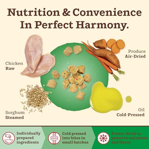 Primal Kibble in The Raw (5.4 Pound (Pack of 1))