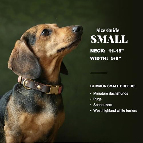 PU Leather Dog Collar for Small Dogs Puppy (Pink / S: Neck 11-15", Width ⅝")
