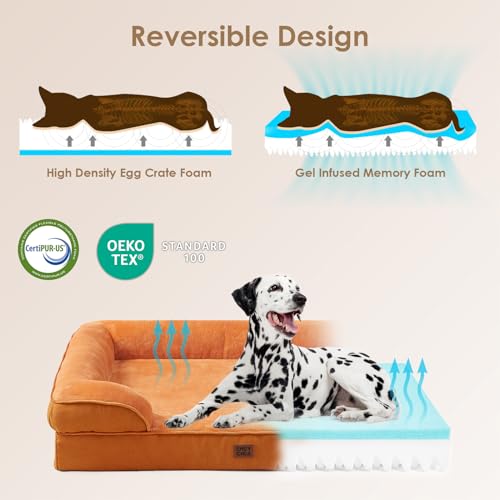 Orthopedic XXL Dog Bed (Pumpkin Orange / 52.0"l X 41.0"w X 8.0"th)