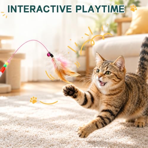 25 Pcs Cat Toys Set