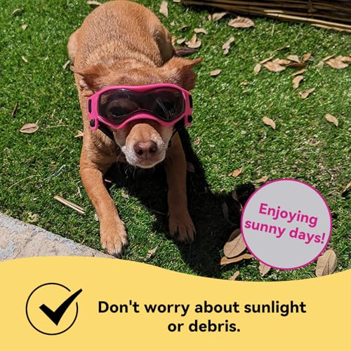 Medium Dog Goggles for Medium Breed UV (Medium / Pink)