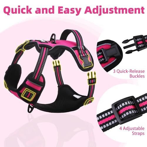 No Pull Dog Harness Small Sized (Fuschia / Small)