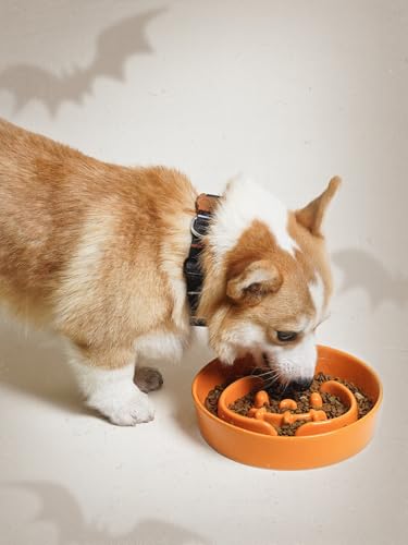 Ceramic Slow Feeder Dog Bowl for Medium & Large Dogs (Pumpkin Orange / L-3 Cups)