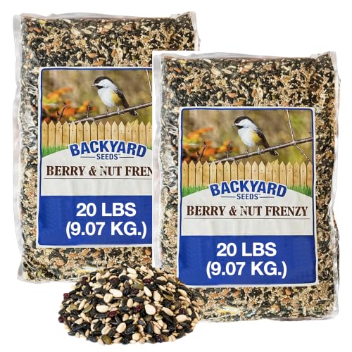 Backyard Seeds 40LB Berries 'n Nut Blend Bird Seed Mix (Berries & Nut / 40 Pound (Pack of 1))