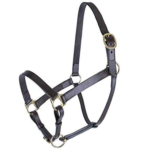 Premier Lancaster Fixed Throat Leather Halter for Horses (Full Size / Havana)
