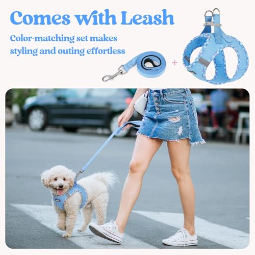 Dog Harness Medium Sized and Leash Set (Blue & Plaid Trim / M (chest: 16 - 18.5"))