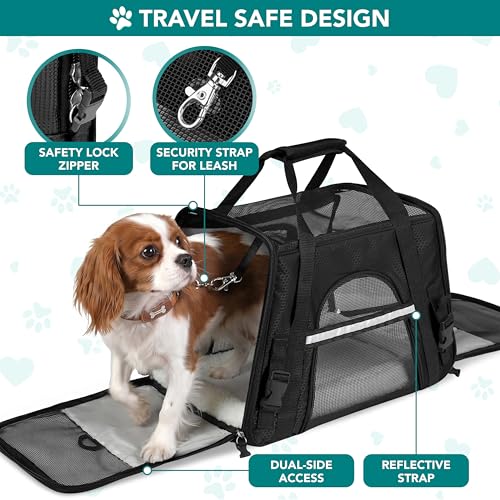 Airline Approved Pet Carrier for Cats & Small Dogs (Black / 17.0"L x 10.2"W x 11.2"H)