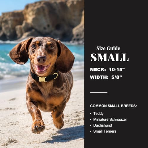 Soft Padded Dog Collar for Small Dogs (Black / S：Fit 10-15" Neck, Width ⅝")