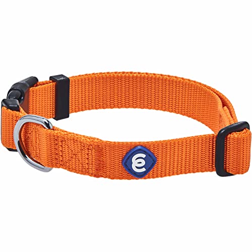 Essentials Matching Large Dog Collar (Large / Orange Vermilion)