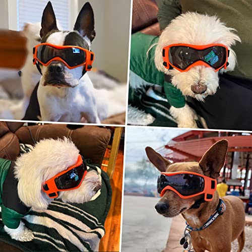 Medium Dog Goggles for Medium Breed UV (Medium / Orange)