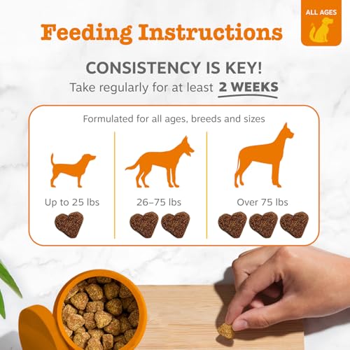 Dog Allergy Chews (50 Count (Pack of 1) - Standard)