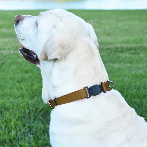 Biothane Waterproof Dog Collar with Herm Sprenger Black Stainless Steel Quick Release Buckle (W 3/4" x L 12"-19" / Coyote Brown)