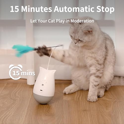 Cat Toys Interactive for Indoor (DPT01)