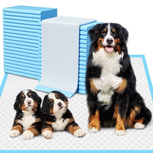 Extra Large Puppy Pads 28" x 34"