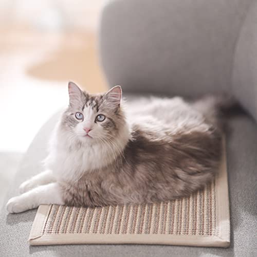 Cat Scratcher Mat (Cream-Thicken-23.6 x 15.7 Inch)