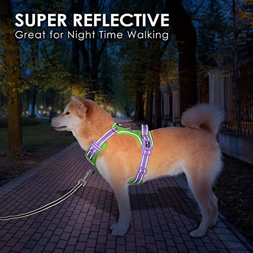 No Pull Dog Harness (Green Base & Purple Straps / Extra Large)