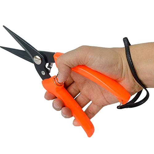 Hoof Trimmers Goat Hoof Trimming Shears Nail Clippers for Sheep (8 inches)