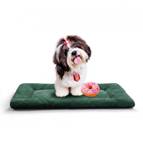 Dog Crate Pad Washable Dog Bed for Crate Small Cozy Mat 24 (24.0"L x 18.0"W x 1.0"Th / Green)