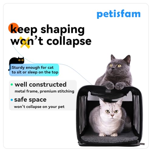 Soft Pet Carrier for Large and Medium Cats (Blue)