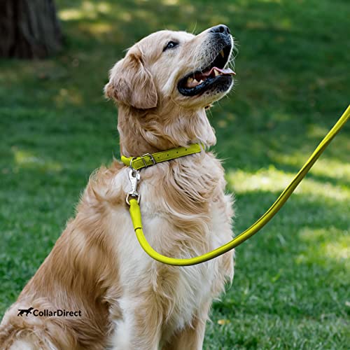 Tangle Free Rolled Leather Dog Collar (Lime Green / XL)