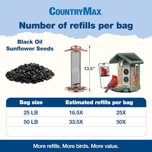 50lbs Backyard Seeds Black Oil Sunflower Seeds (Black Oil Sunflower Seed / 50 Pound (Pack of 1))