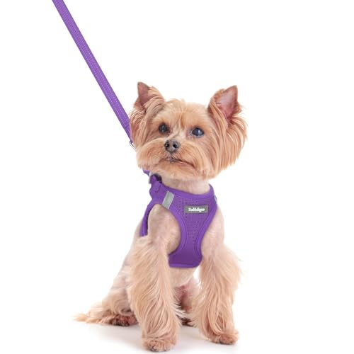 Dog Harness Small Sized and Leash Set (Purple / Xxs (chest: 12.4 - 14.2"))