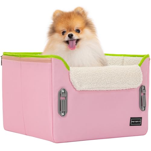 Small Dog Car Seat
