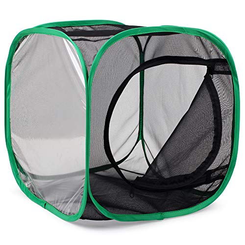 Insect and Butterfly Habitat Cage Terrarium Pop (Black With Green / 12 x 12 x 12 inches)