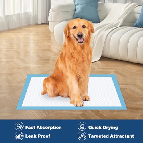 50 Count 28” x 34” XL Disposable Dog Pee Pads (28"x34" - 50 Count)