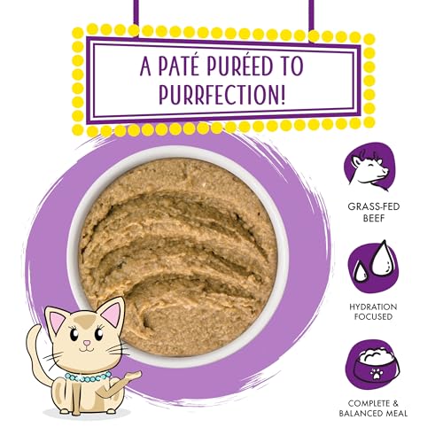 Wet Cat Food The Newly Feds with Beef and Salmon Pate (2.8 Ounce (Pack of 12))