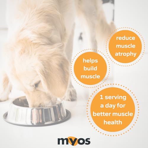 Dog Muscle Builder & Mobility Support (6.35oz)