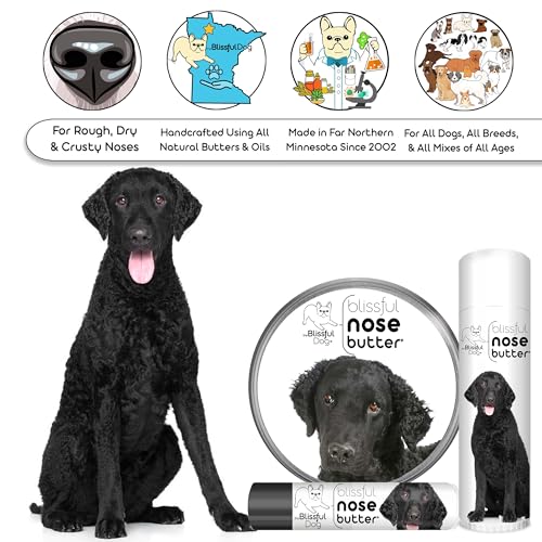 Curly Coat Retriever Unscented Nose Butter (Curly Coat Retriever / 1 Ounce)