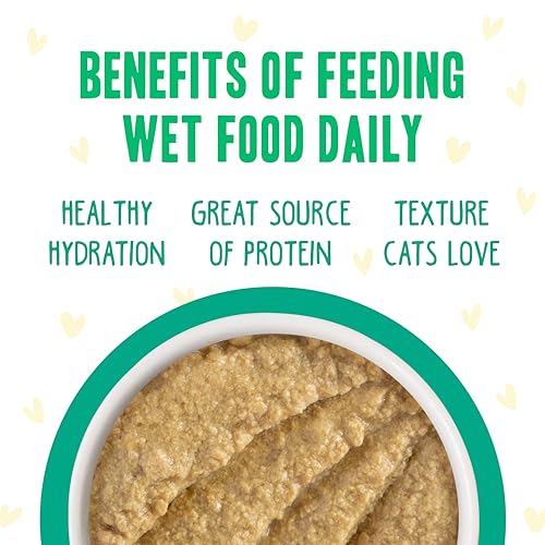 B.F.F. PLAY Best Feline Friend Paté Lovers (3 Ounce (Pack of 12))