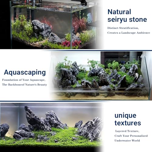 Aquariums Stones Fish Tank Rock 3Lb seiryu Rock for Aquascaping (3Lb (2-5 inch))