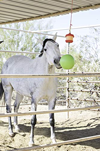 Combo Horse Stall Toy