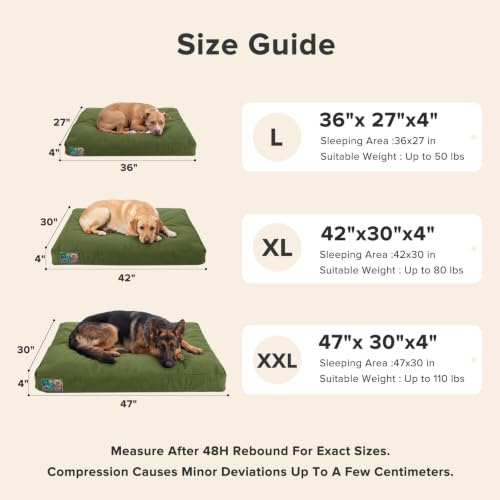 Chew Proof Indestructible Dog Bed for Large Dogs (Green / XXL(47"x 30"x4"))
